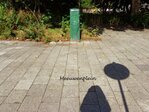 Meeuwenlaan/Meeuwenplein. VERDWENEN
              <br/>
              Herman Wals (Wiesje), sept. 2018
